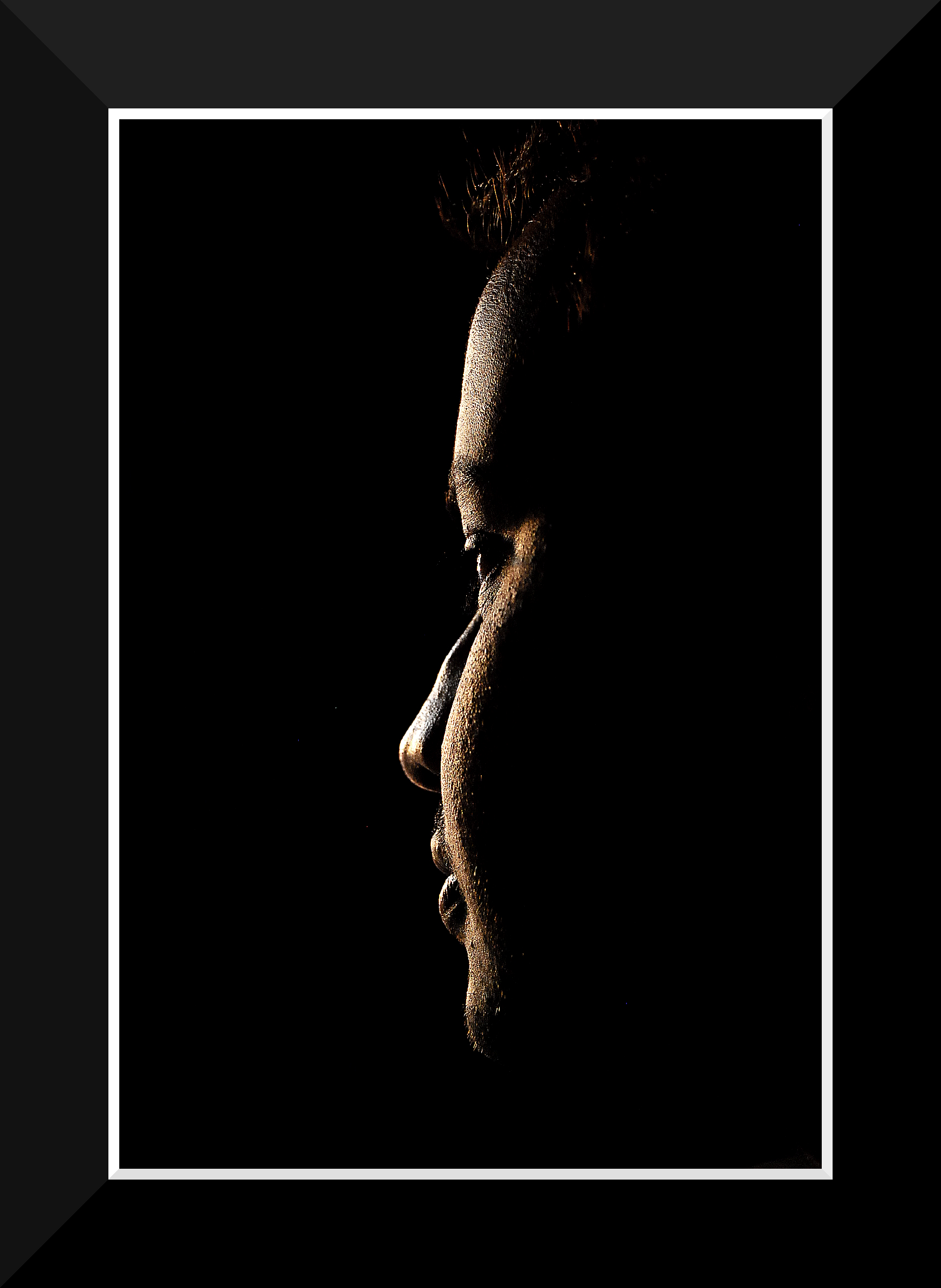 Silhouette Study